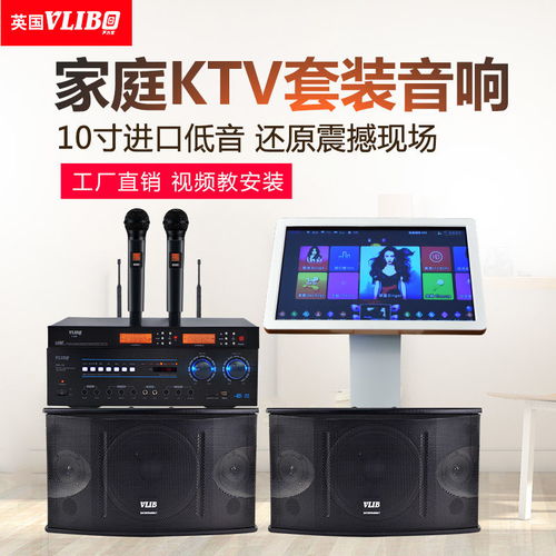 英国VLLBO家庭KTV音响套装 打造专业级家庭娱乐与多功能会议室的音效解决方案