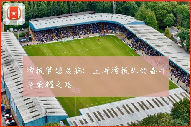 滑板梦想启航：上海滑板队的奋斗与荣耀之路