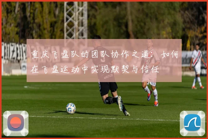 重庆飞盘队的团队协作之道：如何在飞盘运动中实现默契与信任